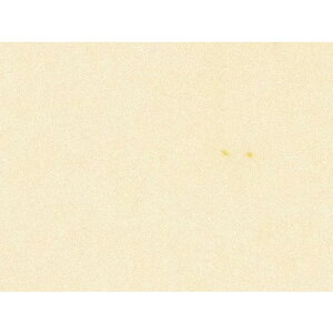 yizLOHAS Material EM]ytbg EF-33 qiȂj i10kgjiꕔnj񂹕î߁A͂܂łɂԂ܂ ELZE