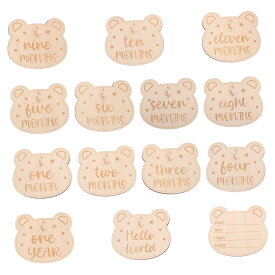 14枚 マイルストーン ベビー カード ベビー マンスリー カード 木材 マイルストーン カード マンスリー ベビー マイルストーン 写真 小道具 新生児用 漫画 マイルストーン