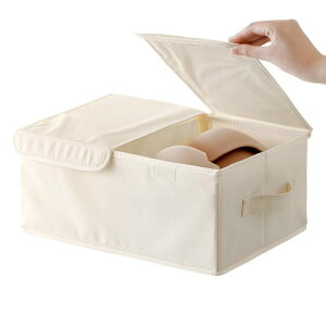 yz [P[X ߗ tBbcP[X N[[bg 34×s24×11.5cm c^  o  ރg[ ݂ɂ ߑP[X EH[NC zCg/NA ϕi 