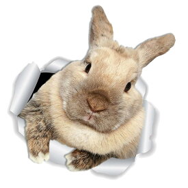 立体ウサギウォールステッカー 製壁飾り 部屋リビング用貼ってはがせるかわいい動物デカール