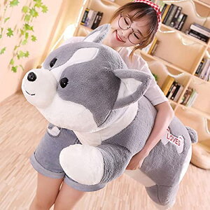  D Č ʂ Hc  _炩K R[M[ ӂӂ ₵ 킢 GSn   a v[g ̎q j̎q ܂ Q  u 