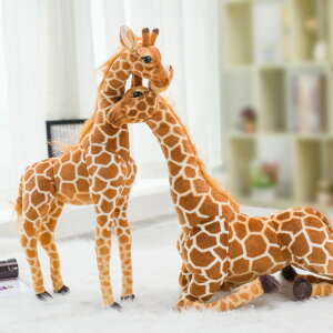 L   _炩 L   Lʂ ܂ NbV  O F 킢 wj ֎q  a LO 120cm XgX 