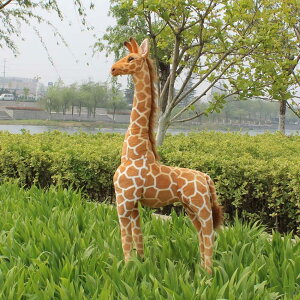 ʂ L    A l`     mbߋ p  j CeA F Aj} `FA H 120cm ӂӂ wj LD