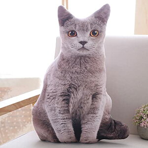 lRʂ  L ˂D  A ʂ D 킢 L wj a LO a X蕨 v[gp 70cm Əj NbV 