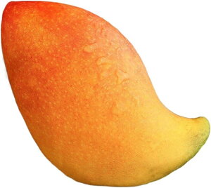 t[c ʂ ʕ 3D D A 傫 { Hו  킢   QNbV _炩 Dw FTCY q̂߂̃Mtg  YQ 