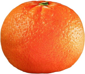 t[c ʂ ʕ 3D D A 傫 { Hו  킢   QNbV _炩 Dw FTCY q̂߂̃Mtg  YQ 