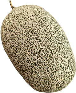 t[c ʂ ʕ 3D D A 傫 { Hו  킢   QNbV _炩 Dw FTCY q̂߂̃Mtg  YQ 