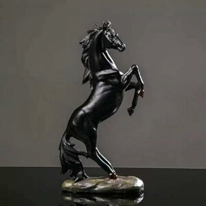 J^AeB[Nn̒u - CeAbEԁEցEƑKpbJ^ObYEg? (zCg) [sAi]