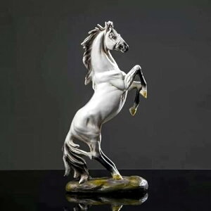 J^AeB[Nn̒u - CeAbEԁEցEƑKpbJ^ObYEg? (zCg) [sAi]