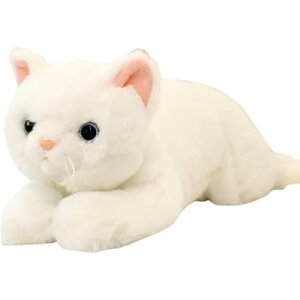 lR L A X g ʂ   Q  NbV YQ (50cm,Fyoz)