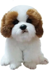 V[Y[  ʂ l` ObY A {      Aj} ʂ ʍDȐlƂꂳƎqNւ̒aLO v[g