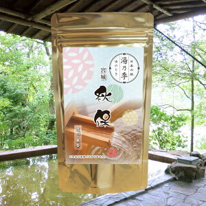 yTG Hہz ̑f y䂤pPbg/3܂Łz{錧 Hۉ hV̓ hVMtg Ε Mtg v[g j  蕨 j Ԃ
