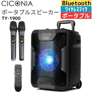 CICONIA �|�[�^�u���X�s�[�J�[ TY-1900 ���C�����X�}�C�N2�{ �����R�� Bluetooth �L�����[�n���h�� �A�E�g�h�A �J���I�P PA�Z�b�g