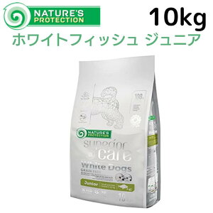 lC`[YveNV zCghbO OCt[ zCgtBbV WjA 10kg Ki hbOt[h Y OCt[  ^p ьp ܂₯ ܏Ă ΍ 