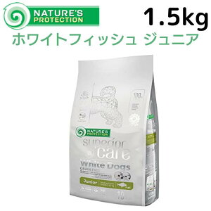 lC`[YveNV zCghbO zCgtBbVWjA OCt[ 1.5kg Ki hbOt[h ^p ьp ܂₯ ܏Ă уPA Hׂ₷  sg