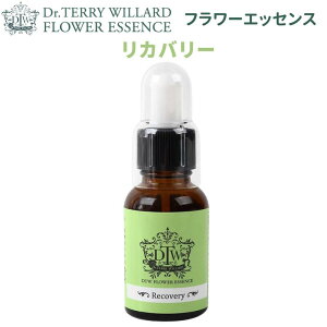 y{|Cg10{zt[GbZXDTWyJo[z(Ki) 25ml X|Cgt A  Zs[ AÖ@ sgp AR[t[    pȂ Mt