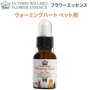 t[GbZXiDTWjyEH[~On[g tH[ybgzybgpt[GbZXyKiz 