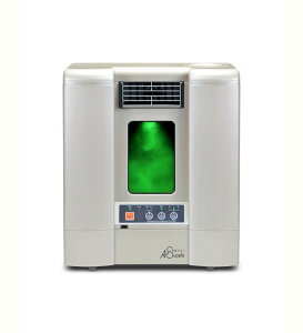 y11/1 10%offN[|ztBgGA[ C@ ƂŐXъ bNX R EBX΍ L h ԂybgɂS ʐ20 