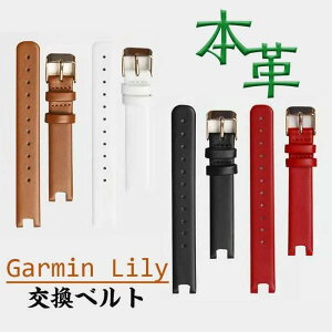 GARMIN Lily Ή oh K[~p Lilyp 14mm oh {v U[ _炩 y ȒP X|[c ϏՌ h