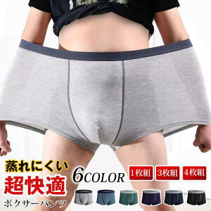 {NT[pc Y 傫TCY z 3D̐^ Xgb` {NT[pc 1g 3g 4g Y {NT[u[t 