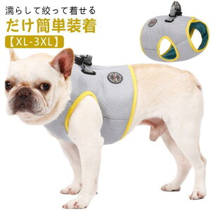  G炷 ⊴  L N[xXg EFA ^ xXg N[ yXL-3XLz ʋC ĕ p CM bV ^ G炵Ē