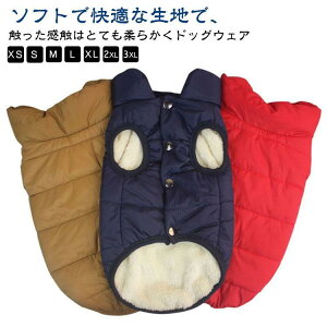   xXg N WPbg AE^[ hbOEFA  n[lX ̌^ H ~ `bL g wJ t@Xi[ ₷  h