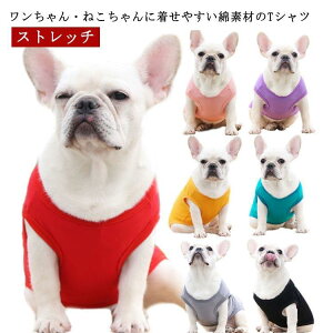 ̕ t TVc p   t p   ̕ t ʂ̕ tVc n Rbg   Xgb` pTVc