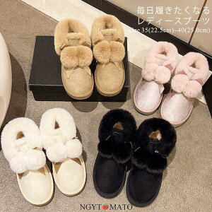 [gu[c  fB[X N V[g ||t Xm[u[c {A  hu[c g   ₷ ₷ ~