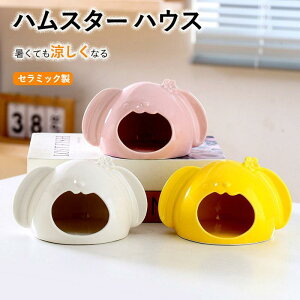 nX^[ nEX nX^[xbh  Z~bN  |P{[  đ΍ Ђ xbh ւ  nX^[P[W Q 