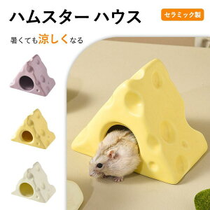 nX^[ nEX nX^[xbh  Z~bN  |P{[  đ΍ Ђ xbh ւ  nX^[P[W Q lGʗp 