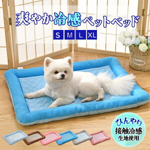 ybgxbg ėp ڐG⊴ ⊴n xbh Lxbh  N[ ⊴ Ђ ybg}bg N[}bg Lp