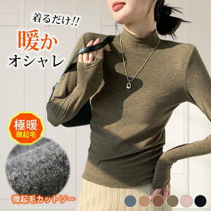 ̊+5 i NуCi[ 6FΉ  v`nClbN Jbg\[  |J|J ɒg ₦Ƃ fB[X h [EFA V