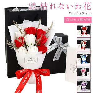 \[vt[ {bNXt 9 u[P tOX\[vt[ ԑ ͂Ȃ   Ό v[g Mtg ̓ o^C a