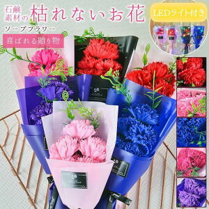 LEDCgt \[vt[ ͂Ȃ ԑ o 3 LED C~l[VCg tOX u[P  Ό v[g Mtg