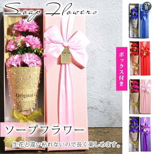 \[vt[ 5 J[l[V  ̓ j a j v[g Mtg Ό AWg {bNXt hV̓