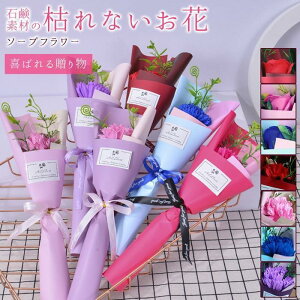 \[vt[ ~ju[P ͂Ȃ tOX ԑ o J[l[V 1   Ό v[g Mtg ̓ 蕨 킢