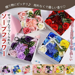 \[vt[ {bNXt[ o^Cf[ ͂Ȃ    t[ Ό v[g Mtg zCgf[