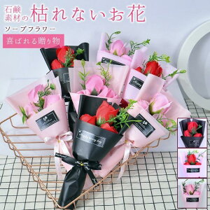 u[P \[vt[ ͂Ȃ ԑ o 3 tOX   Ό v[g Mtg ̓ a 蕨 LO o^C 킢