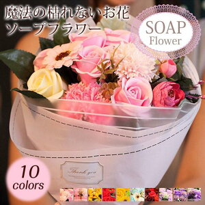 \[vt[ ԑ Mtg u[P {bNXt[  [Y J[l[V Ђ܂ t[ TvCY H~ HV