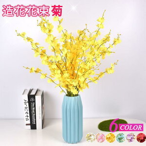 o^C e CeA t[  G i`  ԑ u[P tFCNO[ v[ H~ HV