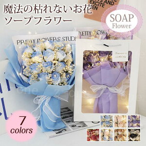 \[vt[ HV {bNXt[  t[ Ό ͂Ȃ v[g a LO  w ̓ LO j