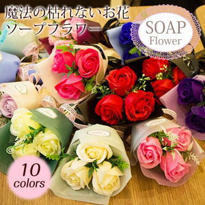 \[vt[ ԑ Mtg u[P {bNXt[ v[g  u[P 3 J[l[V t[ TvCY Ό H~ HV