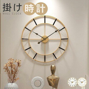 |v  v a50cm   Ǌ| AeB[N 傫 EH[NbN k [} _ AiO Vv