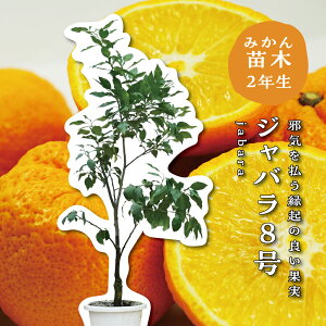 ΂ Wo c y3Nc؁z c ݂̖ ږؕc ݂ 8 V{c[  A  Ύ A x_ k 蕨 Mtg v[g Vzj oYj a