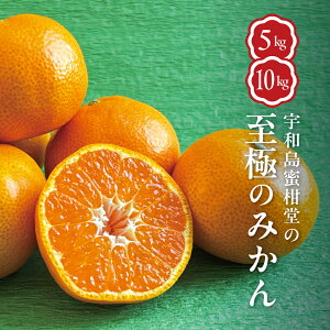 yɂ݂̂zQY ݂ 5kg 10kg E n  k ㊮nE Â  Mtg  v[g 蕨  _ Q Ђ