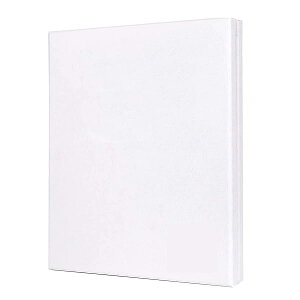 F6 2 Zbg LoX LoX LoX canvas GEANGɓKp (410mm*318mm*2)