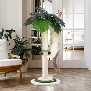 L̒܂Ƃ ~|Xg ݂艺{[t 35C` L̒܂Ƃ TCU[vt p ^LƎqLp