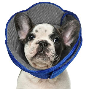 エリザベスカラー 犬 猫 調整可能 通気性 軽量 柔らかいイヌ カラー 傷舐め防止 引っ掻き防止 傷口保護 術後ケア 中型犬 ブルー M