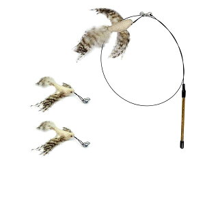 L炵 ˂ L̂ L ފƁi1{j& Hi2H jԂԂ ybgObY ˂pi