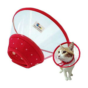 GUxXJ[  {^ Lp GUxXJ[ L \tg y 畆a ی p D 3TCY3F ybgp (M, bh)